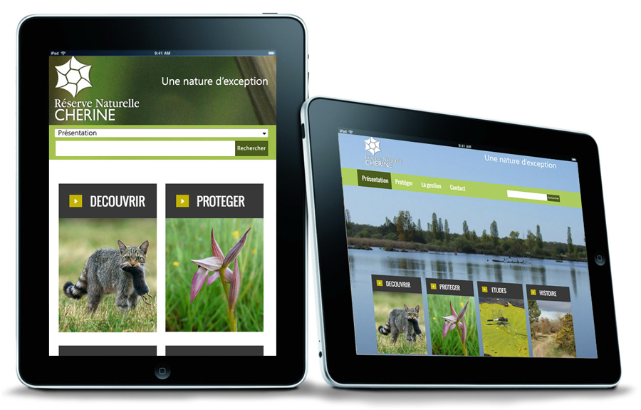 inspiration graphique pour la réserve de chérine